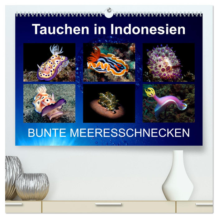 Tauchen in Indonesien - BUNTE MEERESSCHNECKEN (CALVENDO Premium Wandkalender 2025)