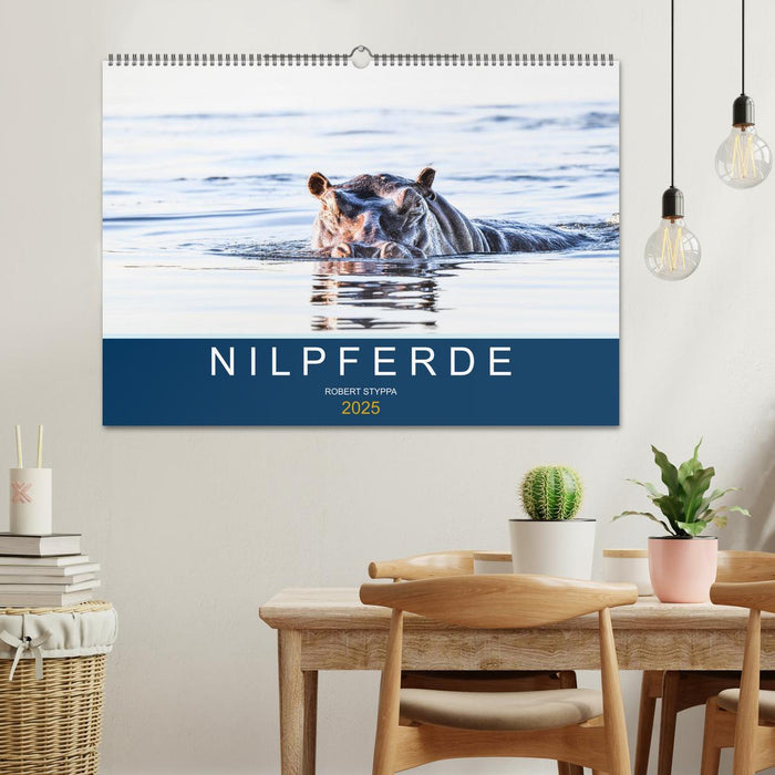 Nilpferde, Kolosse in Afrika (CALVENDO Wandkalender 2025)