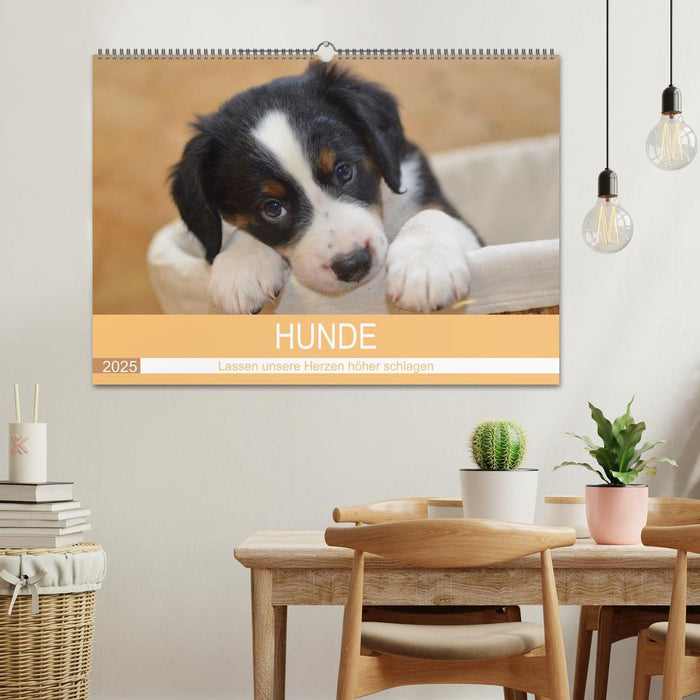 HUNDE - Lassen unsere Herzen höher schlagen (CALVENDO Wandkalender 2025)