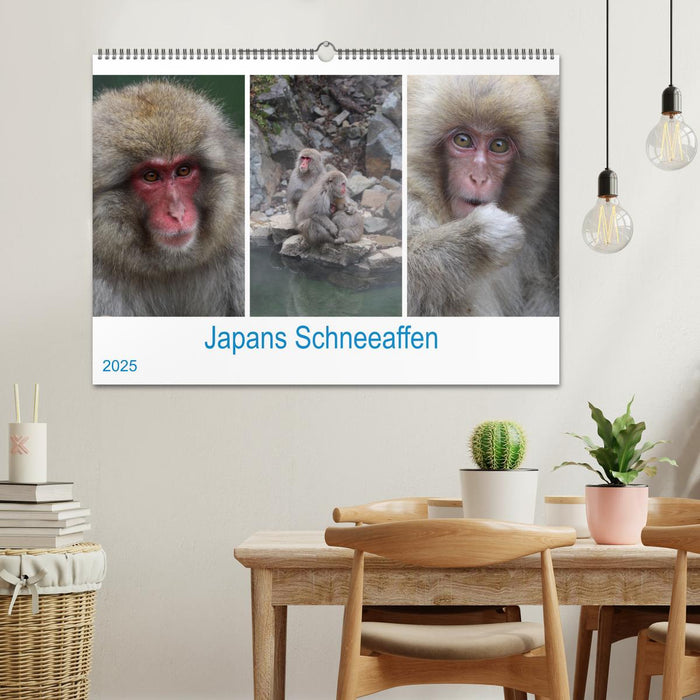 Japans Schneeaffen (CALVENDO Wandkalender 2025)