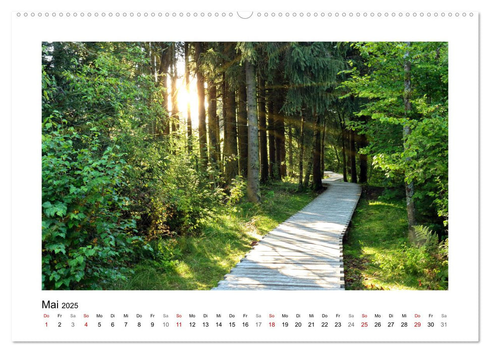 Rotes und Schwarzes Moor (CALVENDO Premium Wandkalender 2025)