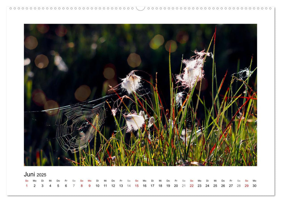 Rotes und Schwarzes Moor (CALVENDO Premium Wandkalender 2025)