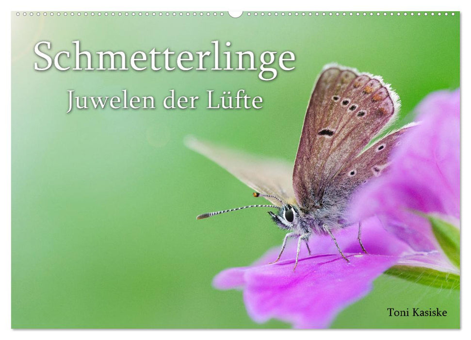 Schmetterlinge - Juwelen der Lüfte (CALVENDO Wandkalender 2025)