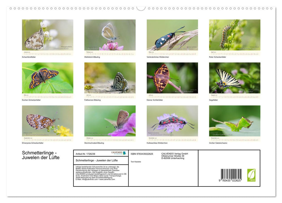 Schmetterlinge - Juwelen der Lüfte (CALVENDO Wandkalender 2025)