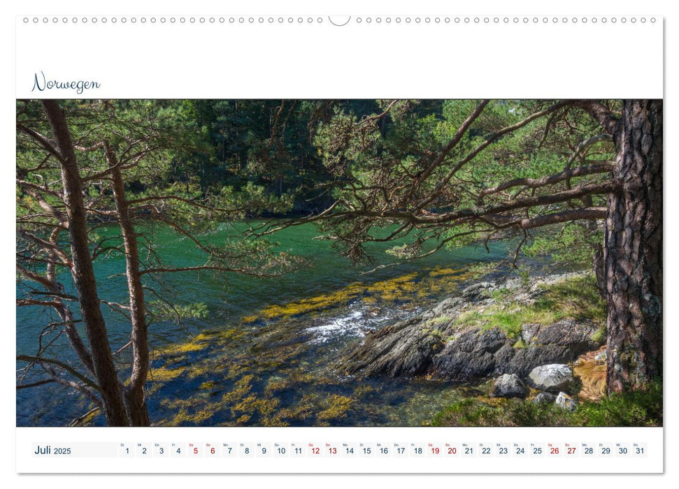 Wilde Küstenwelt - Panorama (CALVENDO Premium Wandkalender 2025)