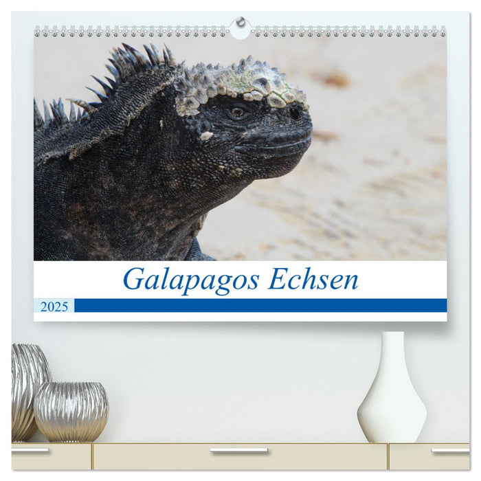 Galapagos Echsen (CALVENDO Premium Wandkalender 2025)