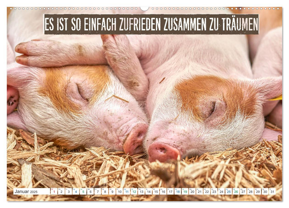 Tierbabys Gedanken - Spruchkalender (CALVENDO Premium Wandkalender 2025)