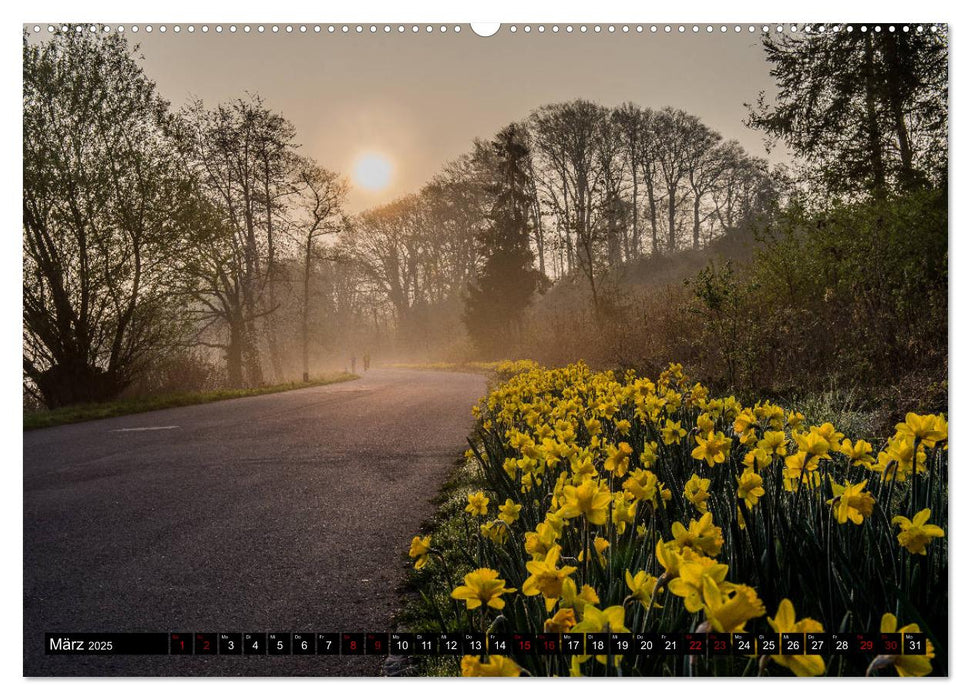 Morgennebel am Baldeneysee (CALVENDO Premium Wandkalender 2025)