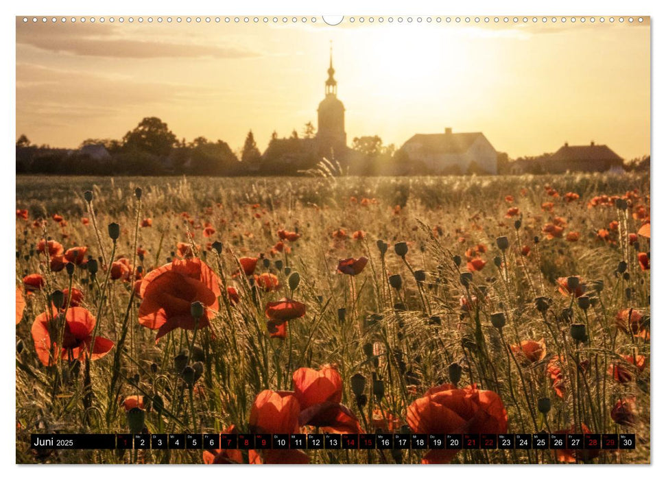 Sachsens Landschaften (CALVENDO Premium Wandkalender 2025)