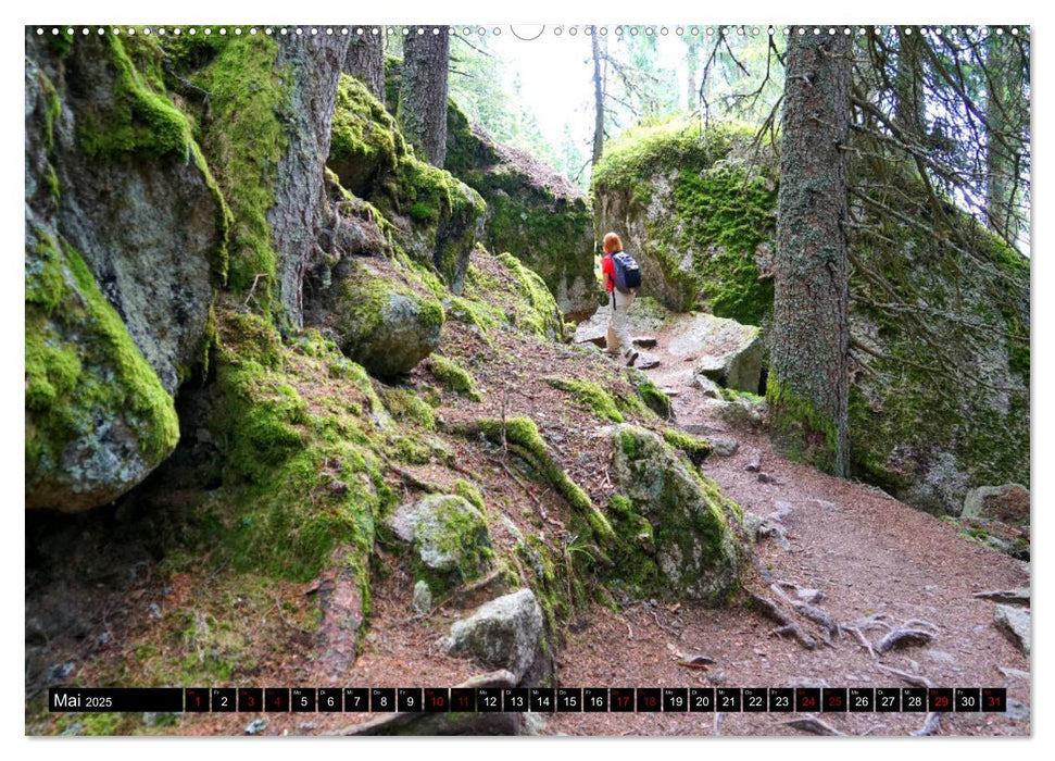 Meraner Höhenweg von Meran bis Katharinaberg (CALVENDO Premium Wandkalender 2025)