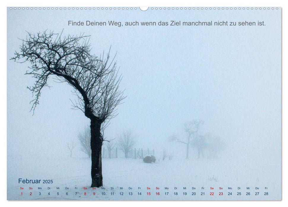 Es gibt kein schlechtes Wetter (CALVENDO Premium Wandkalender 2025)