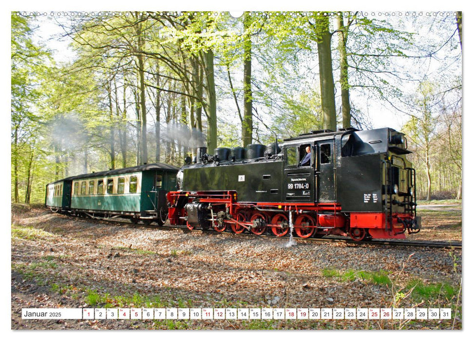 Ostseeinseln Rügen, Hiddensee, Ummanz (CALVENDO Premium Wandkalender 2025)