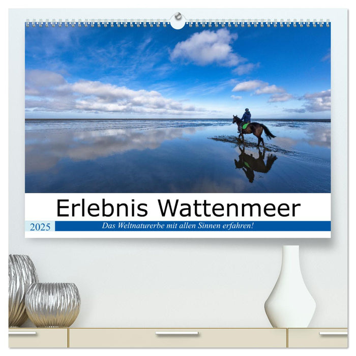 Erlebnis Wattenmeer (CALVENDO Premium Wandkalender 2025)