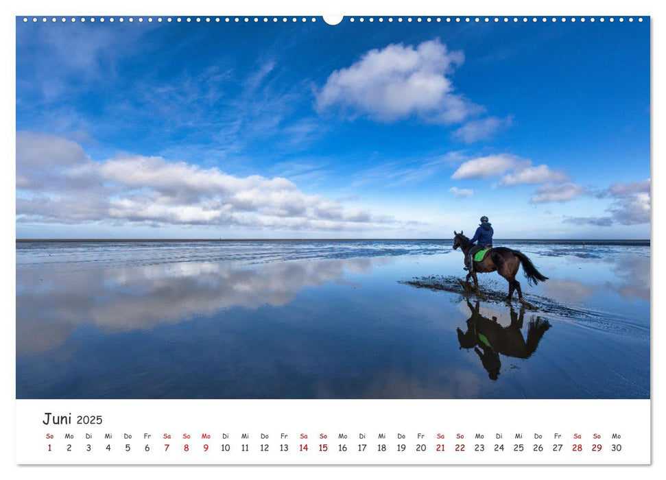 Erlebnis Wattenmeer (CALVENDO Premium Wandkalender 2025)