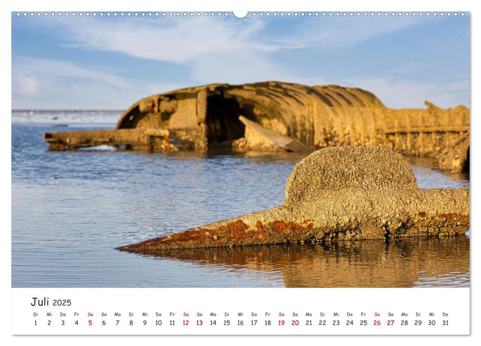 Erlebnis Wattenmeer (CALVENDO Premium Wandkalender 2025)