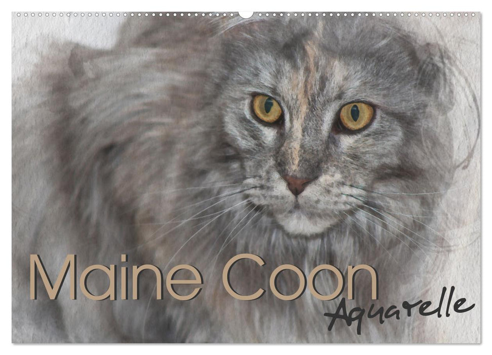 Maine Coon Aquarelle (CALVENDO Wandkalender 2025)