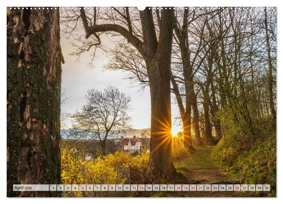 Die Burg Hohnstein im Wandel der Jahreszeiten (CALVENDO Premium Wandkalender 2025)