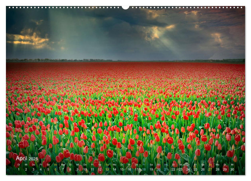 HDR SZENARIUM (CALVENDO Premium Wandkalender 2025)