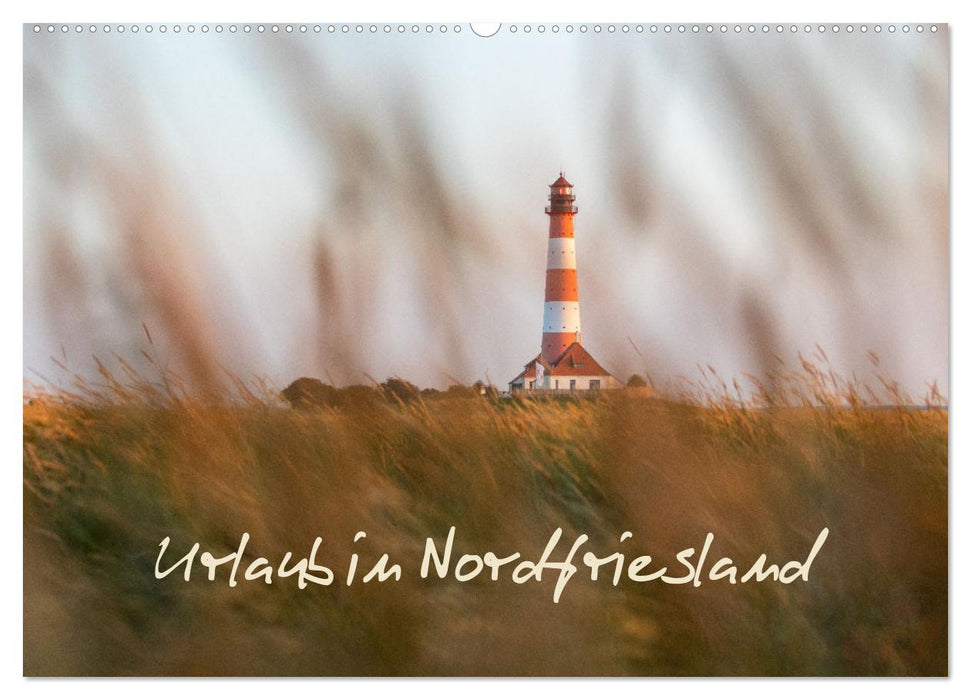 Urlaub in Nordfriesland (CALVENDO Wandkalender 2025)