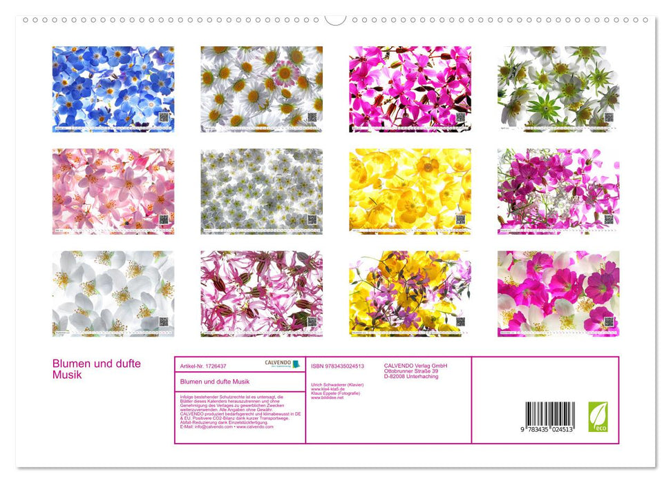 Blumen und dufte Musik (CALVENDO Premium Wandkalender 2025)