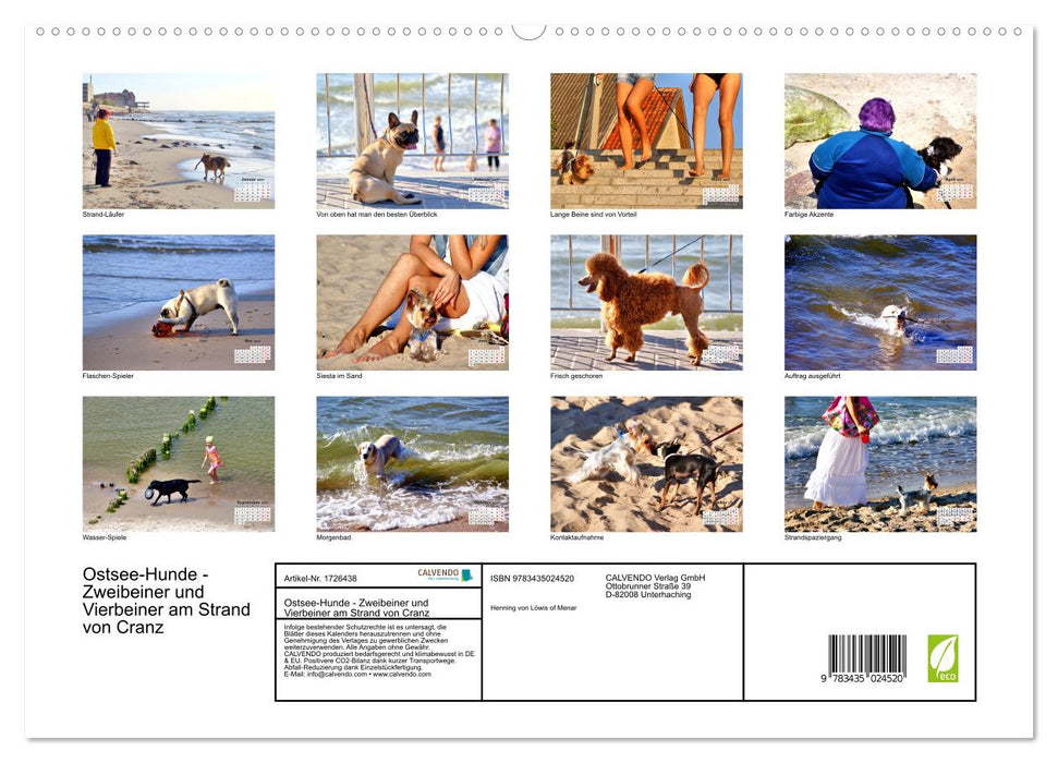 Ostsee-Hunde - Zweibeiner und Vierbeiner am Strand von Cranz (CALVENDO Premium Wandkalender 2025)