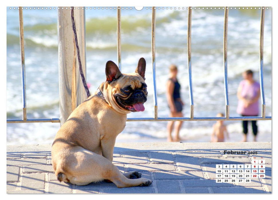 Ostsee-Hunde - Zweibeiner und Vierbeiner am Strand von Cranz (CALVENDO Premium Wandkalender 2025)