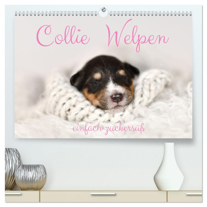 Collie Welpen einfach zuckersüß (CALVENDO Premium Wandkalender 2025)