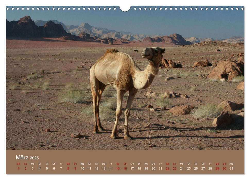 Wadi Rum Jordanien (CALVENDO Wandkalender 2025)