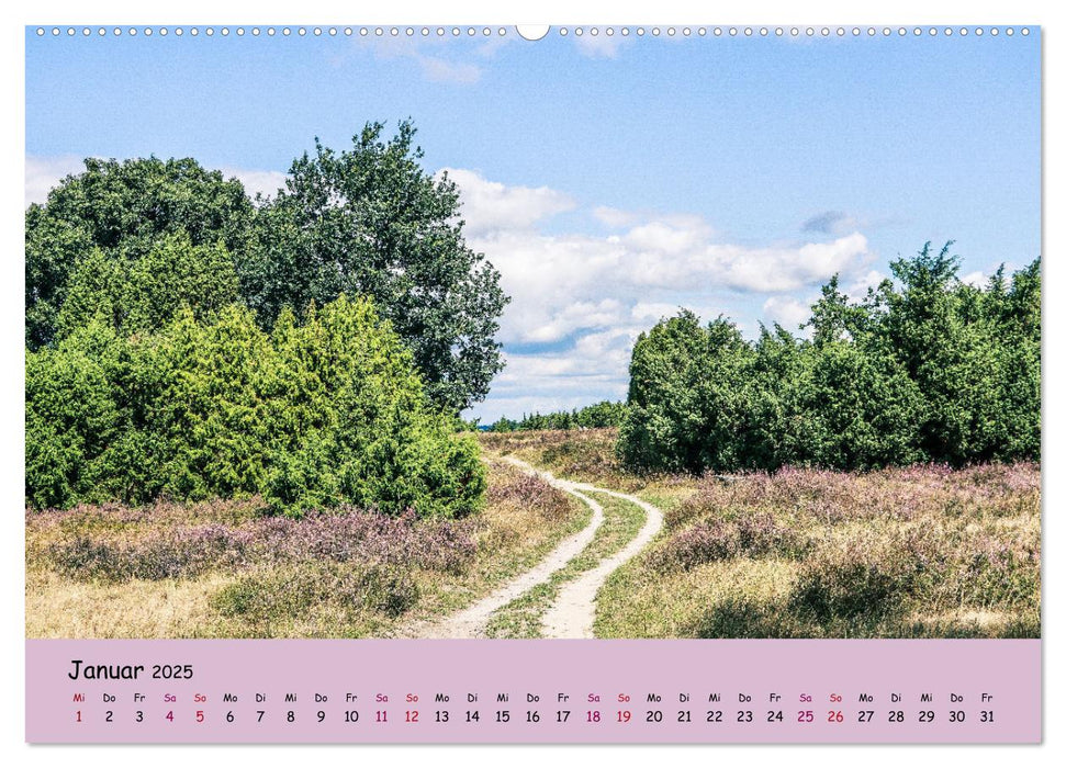 Lüneburger Heide Wege (CALVENDO Premium Wandkalender 2025)