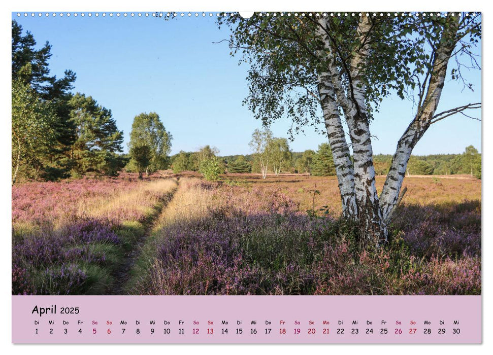 Lüneburger Heide Wege (CALVENDO Premium Wandkalender 2025)