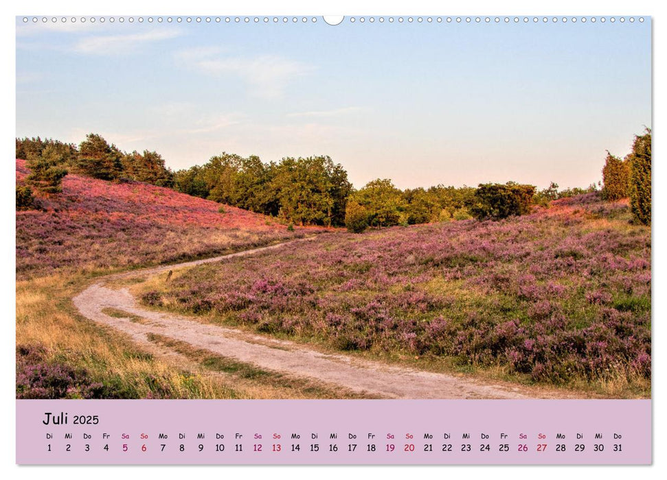 Lüneburger Heide Wege (CALVENDO Premium Wandkalender 2025)