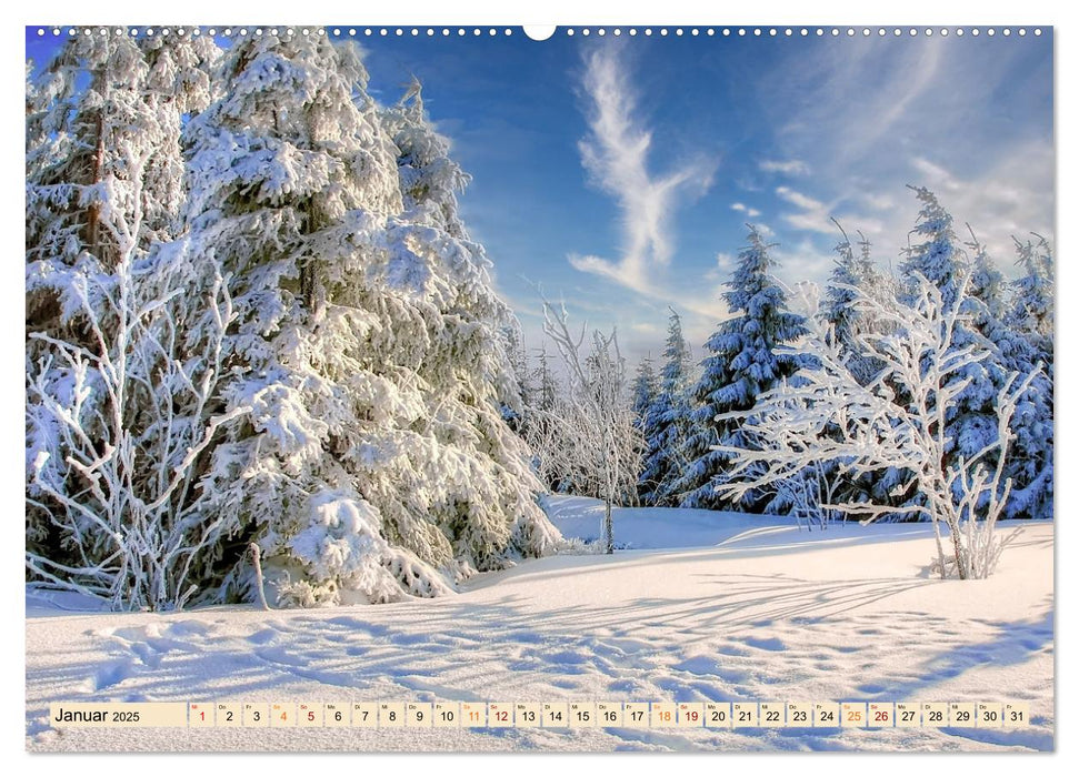 Harz - Urlaub (CALVENDO Premium Wandkalender 2025)