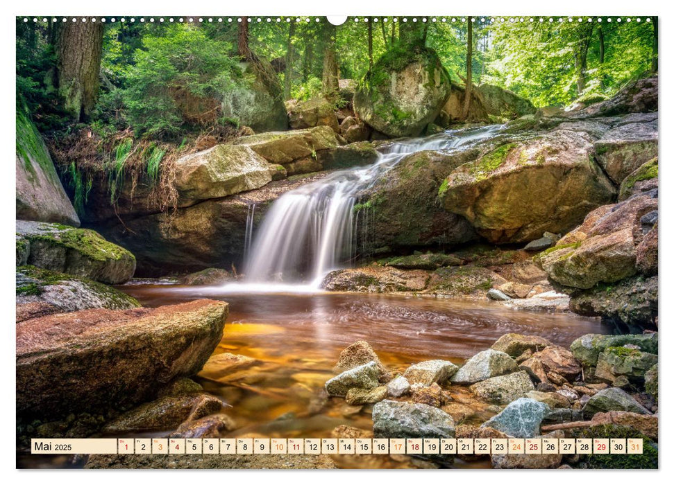 Harz - Urlaub (CALVENDO Premium Wandkalender 2025)