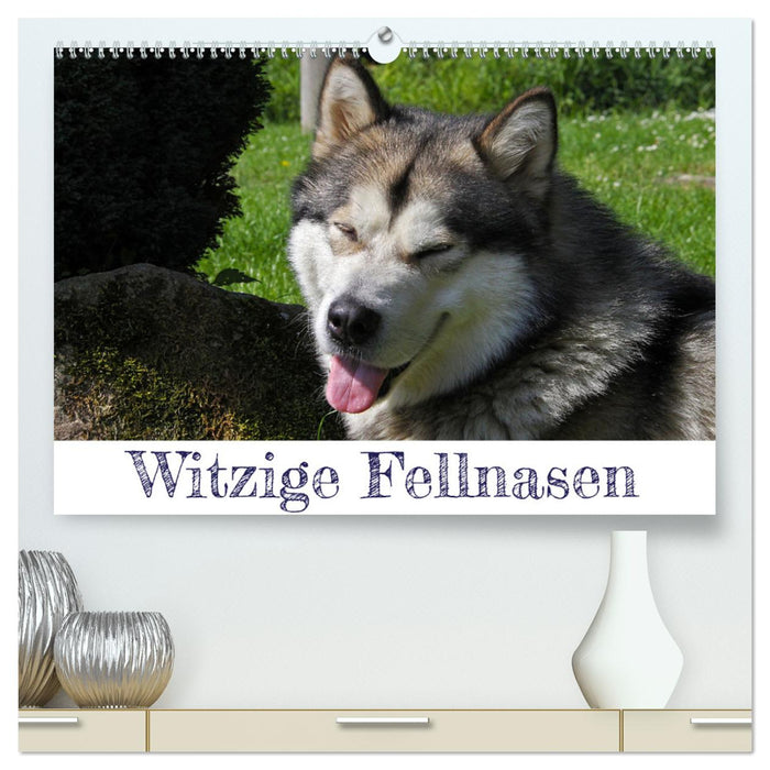 Witzige Fellnasen (CALVENDO Premium Wandkalender 2025)