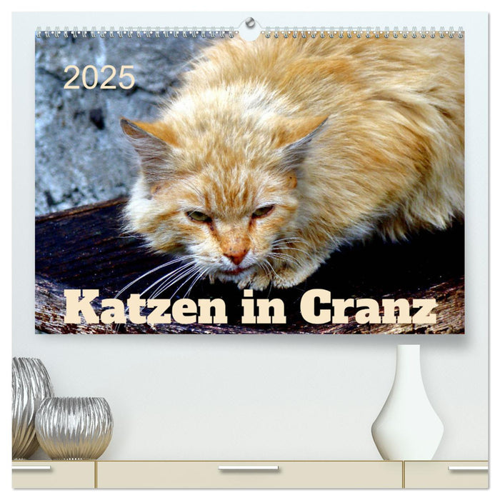 Katzen in Cranz (CALVENDO Premium Wandkalender 2025)