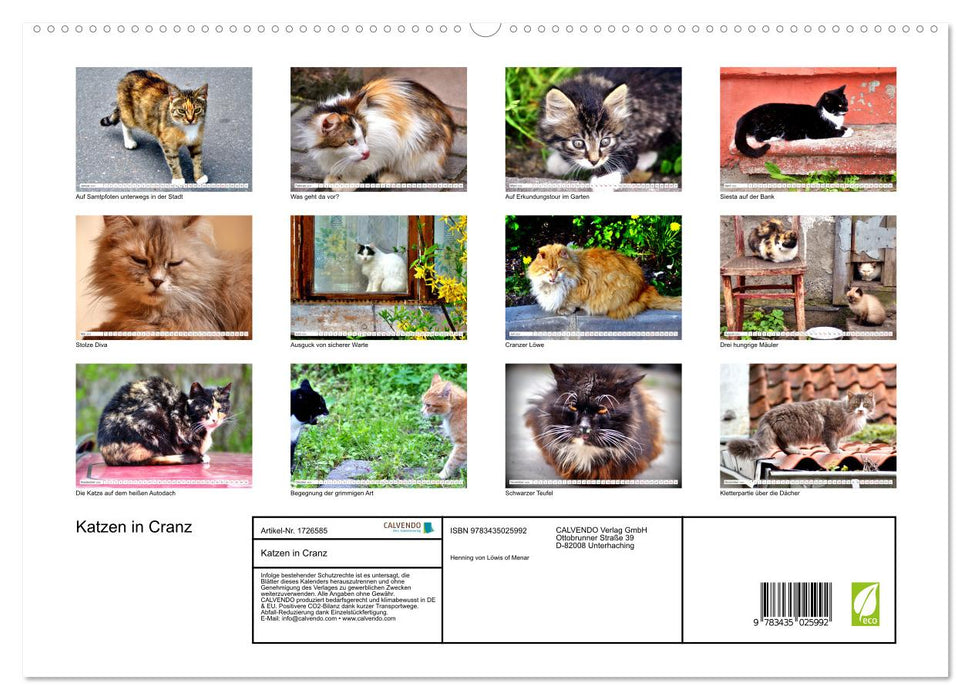 Katzen in Cranz (CALVENDO Premium Wandkalender 2025)