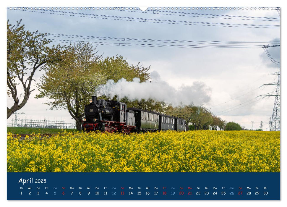 Unter Dampf im Osten (CALVENDO Premium Wandkalender 2025)