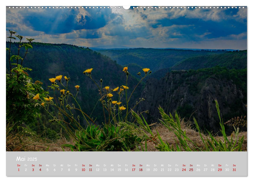 Harzer Impressionen (CALVENDO Premium Wandkalender 2025)