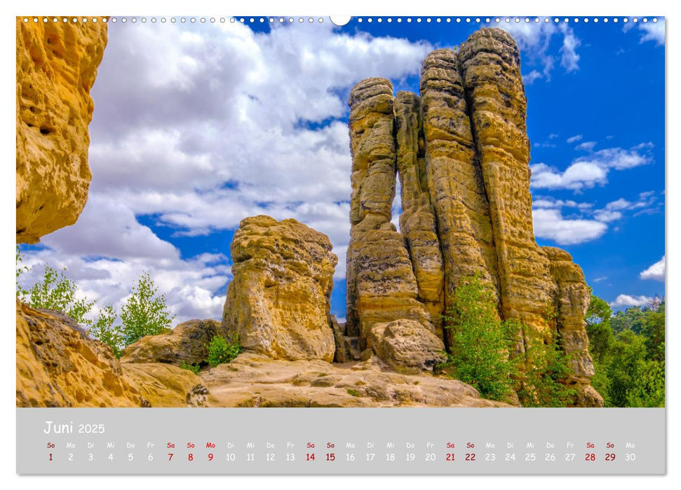 Harzer Impressionen (CALVENDO Premium Wandkalender 2025)