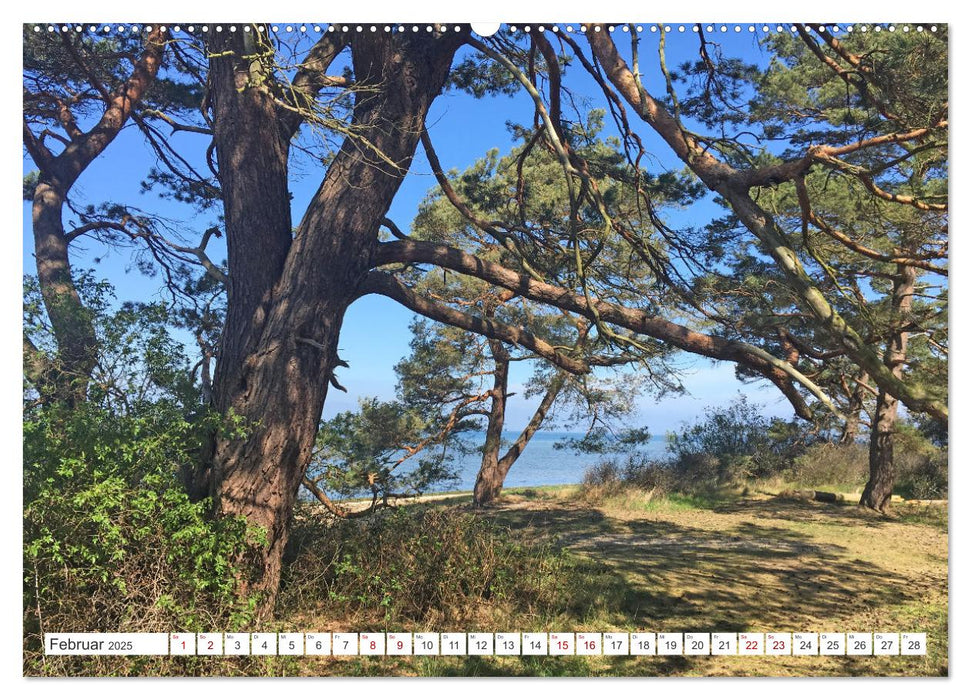 Zauber der Ostseeküste (CALVENDO Premium Wandkalender 2025)