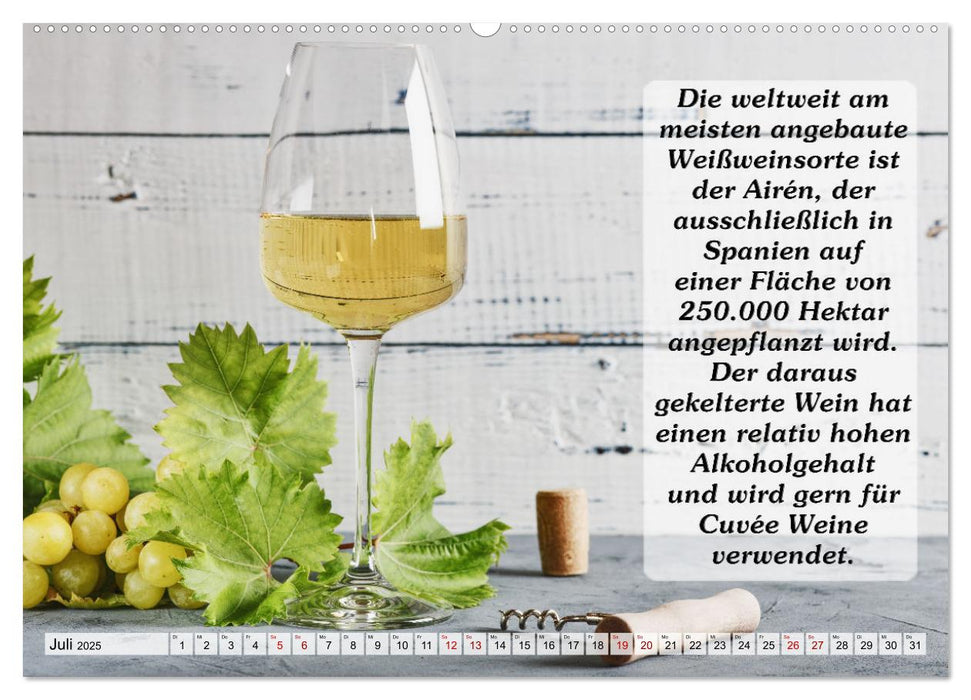 Wissenswertes über Wein (CALVENDO Premium Wandkalender 2025)