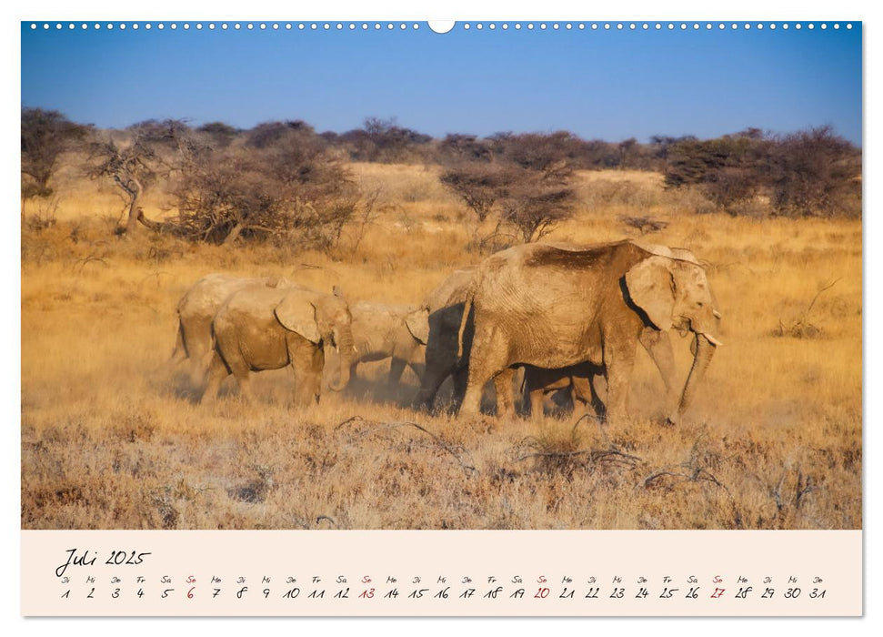 Namibia - Vom Sossusvlei bis zum Etosha Nationalpark (CALVENDO Premium Wandkalender 2025)