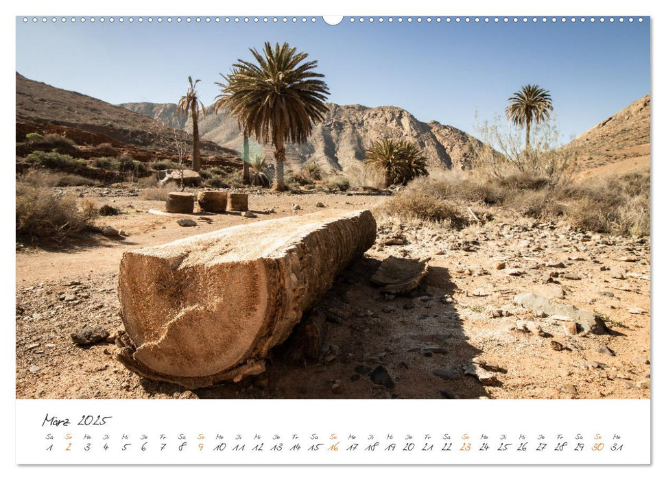 X Tage Fuerteventura – Strände, Vulkane und grandiose Landschaften (CALVENDO Premium Wandkalender 2025)