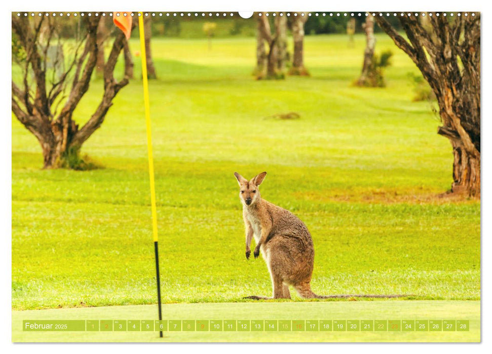 Golfparadiese der Welt (CALVENDO Premium Wandkalender 2025)