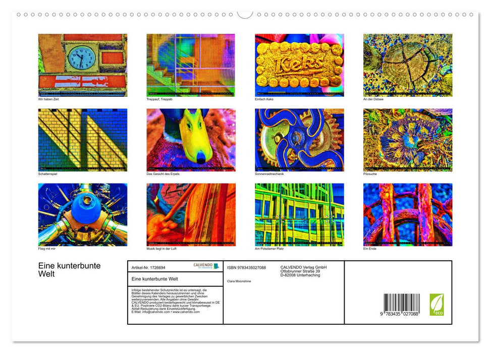 Eine kunterbunte Welt (CALVENDO Premium Wandkalender 2025)