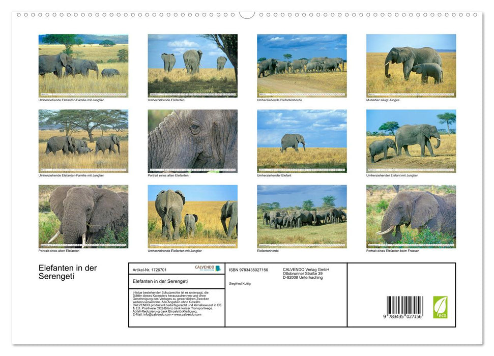 Elefanten in der Serengeti (CALVENDO Premium Wandkalender 2025)