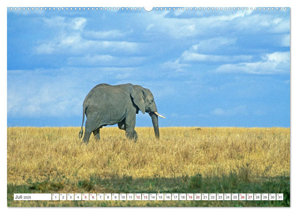 Elefanten in der Serengeti (CALVENDO Premium Wandkalender 2025)