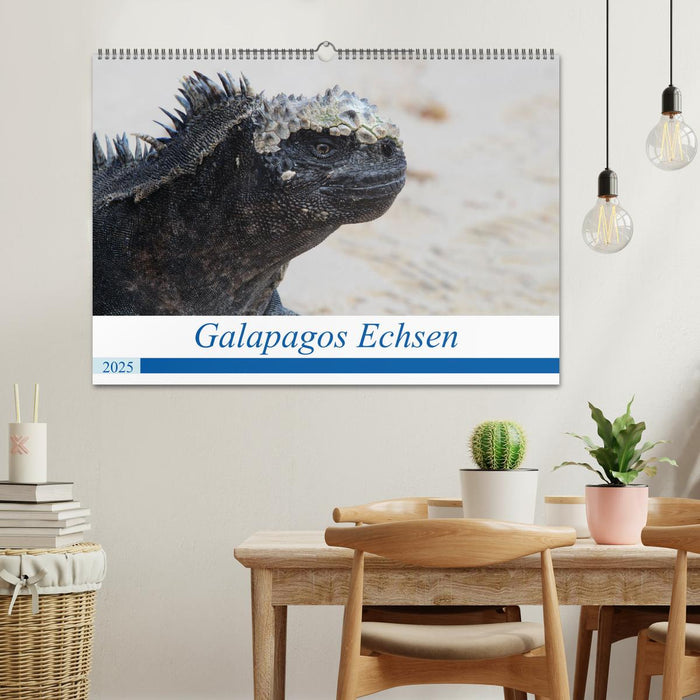 Galapagos Echsen (CALVENDO Wandkalender 2025)