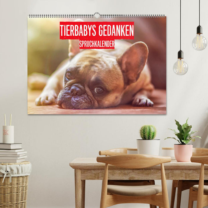 Tierbabys Gedanken - Spruchkalender (CALVENDO Wandkalender 2025)