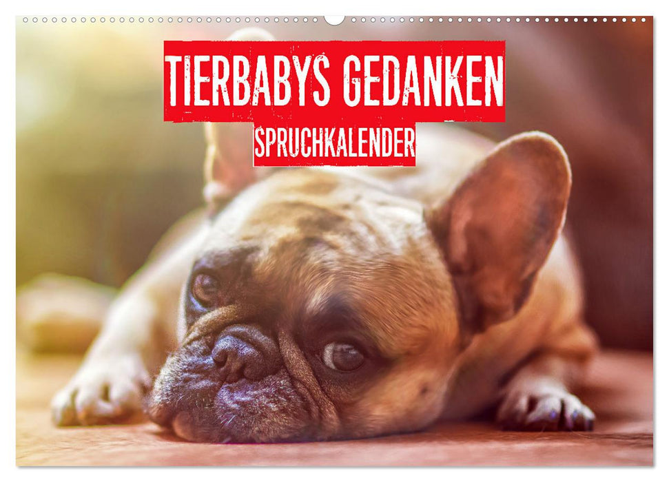 Tierbabys Gedanken - Spruchkalender (CALVENDO Wandkalender 2025)